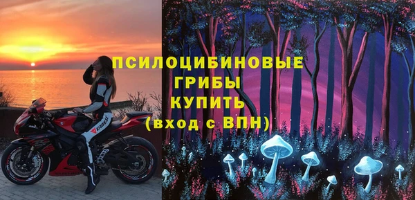 винт Богданович